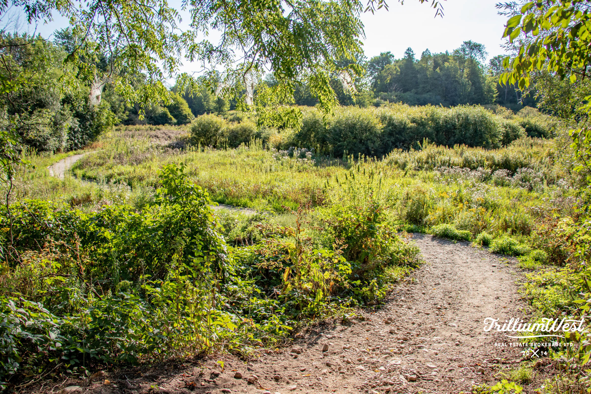 PineRidgeWestminstergallery 