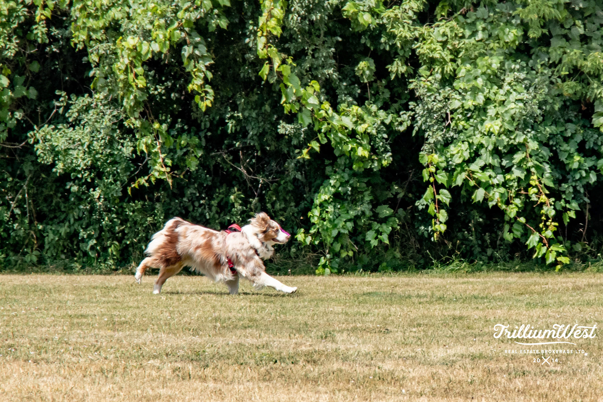 PreservationParkgallery 