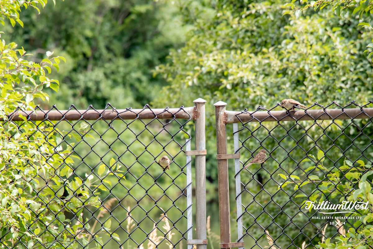 PreservationParkgallery 