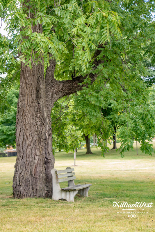 PreservationParkgallery 