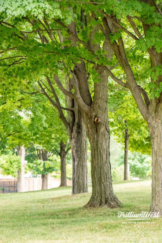 PreservationParkgallery 