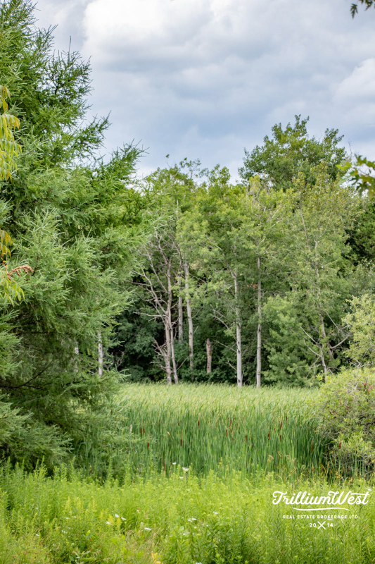 PreservationParkgallery 