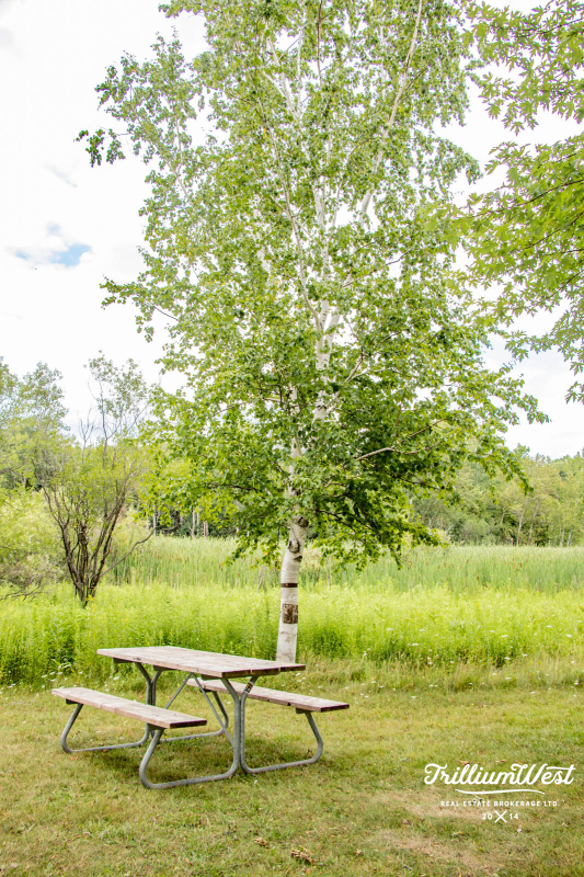 PreservationParkgallery 