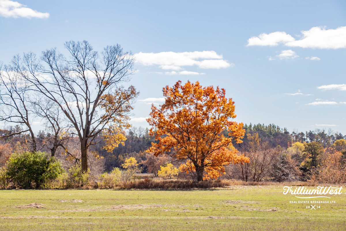 PrestonHeightsImageGallery 