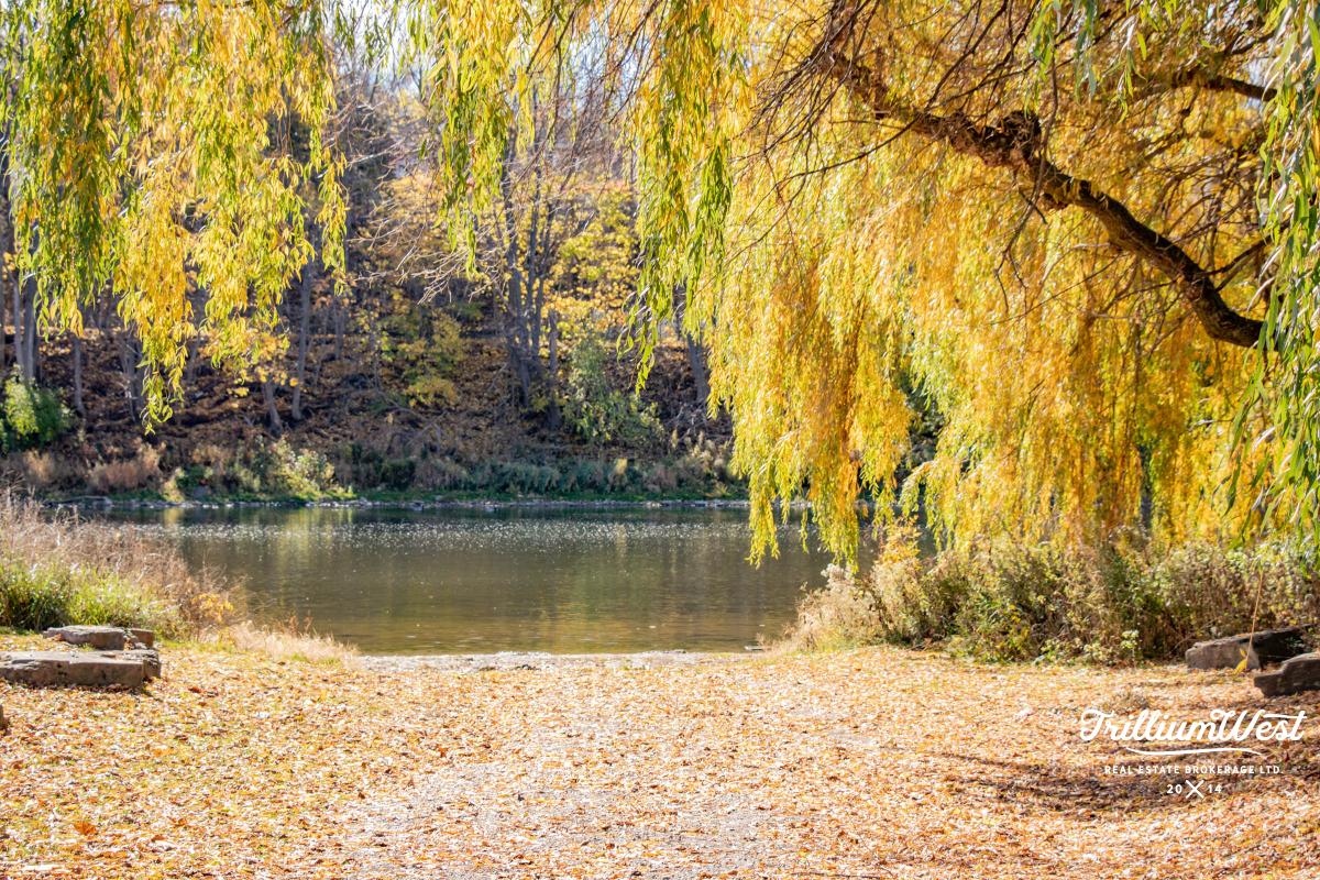 PrestonHeightsImageGallery 