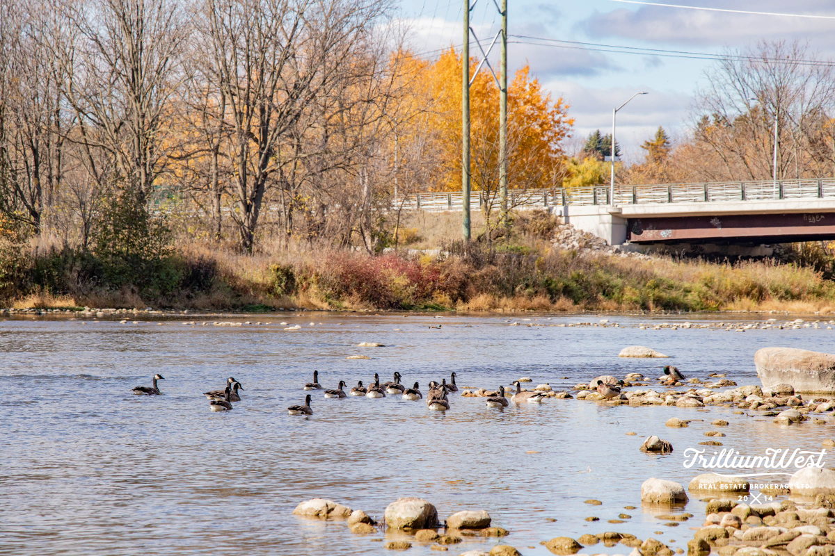 PrestonHeightsImageGallery 