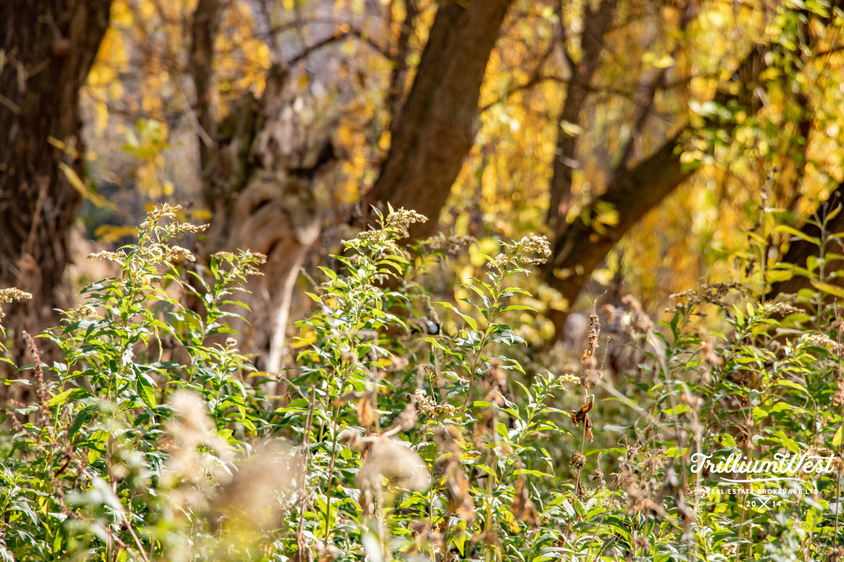 PrestonHeightsImageGallery 