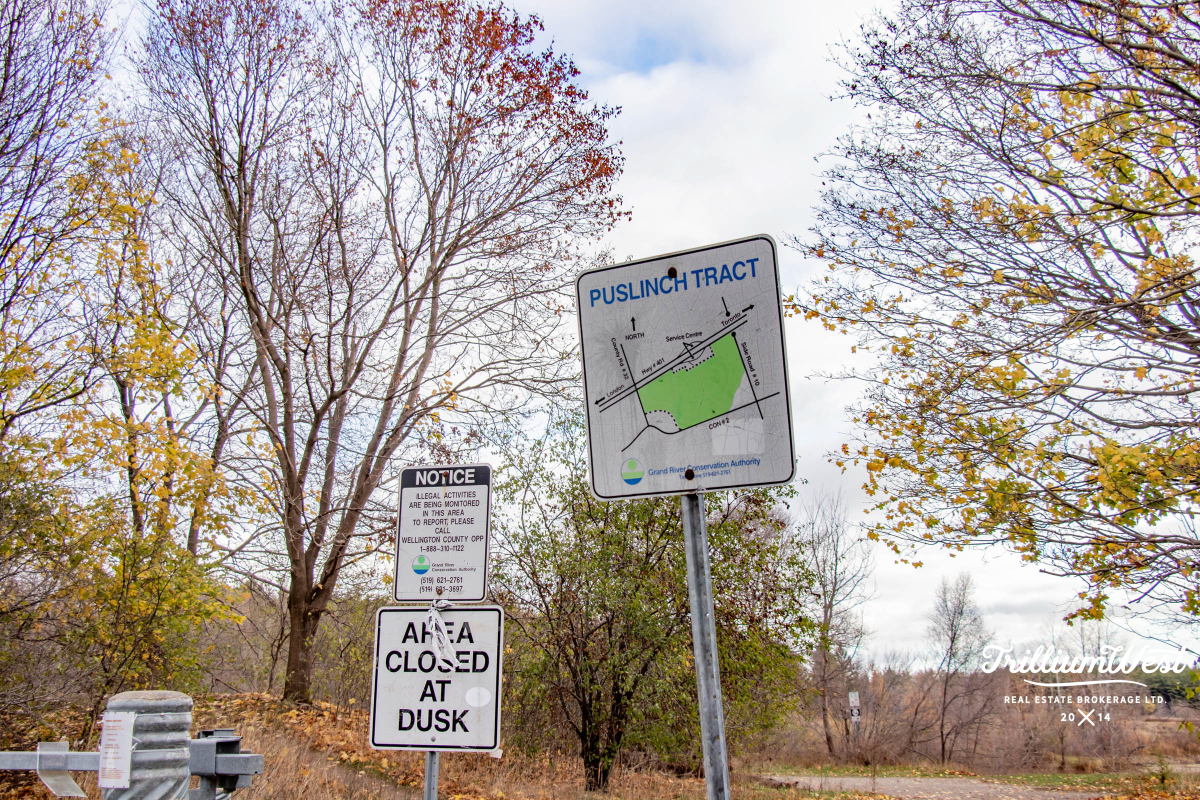 Puslinchgallery 18 of 