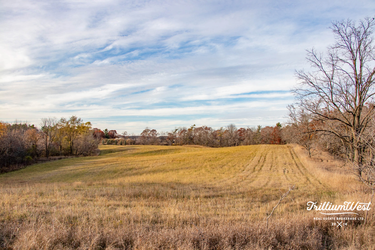 SalisburySouthgateGallery 