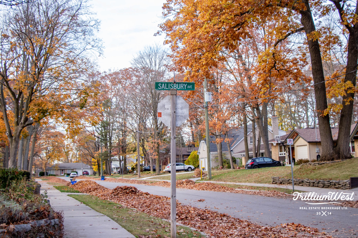 SalisburySouthgateGallery 