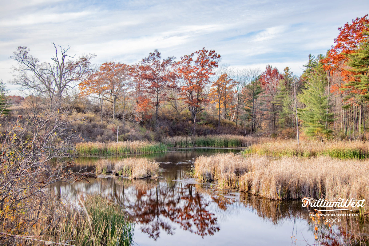 SalisburySouthgateGallery 