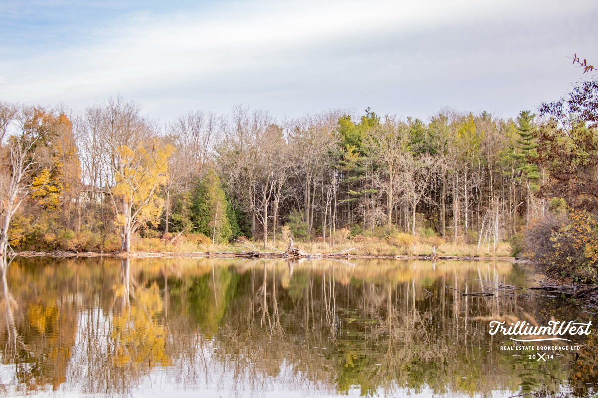 SalisburySouthgateGallery 