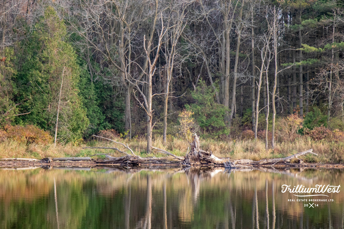 SalisburySouthgateGallery 