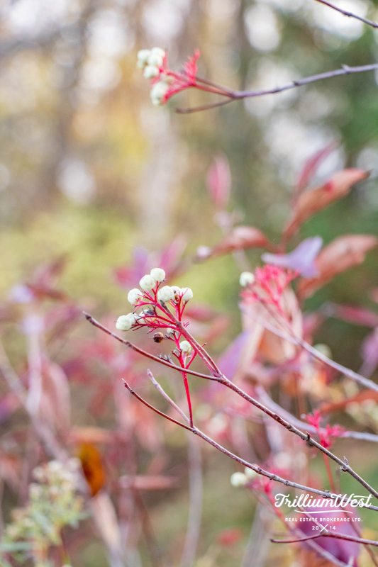 SalisburySouthgateGallery 