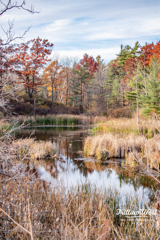 SalisburySouthgateplaces 