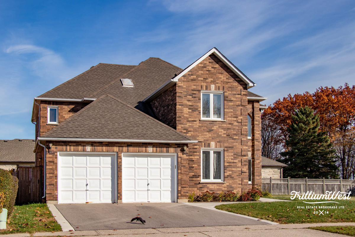 ShadesMillsgallery 1 of 