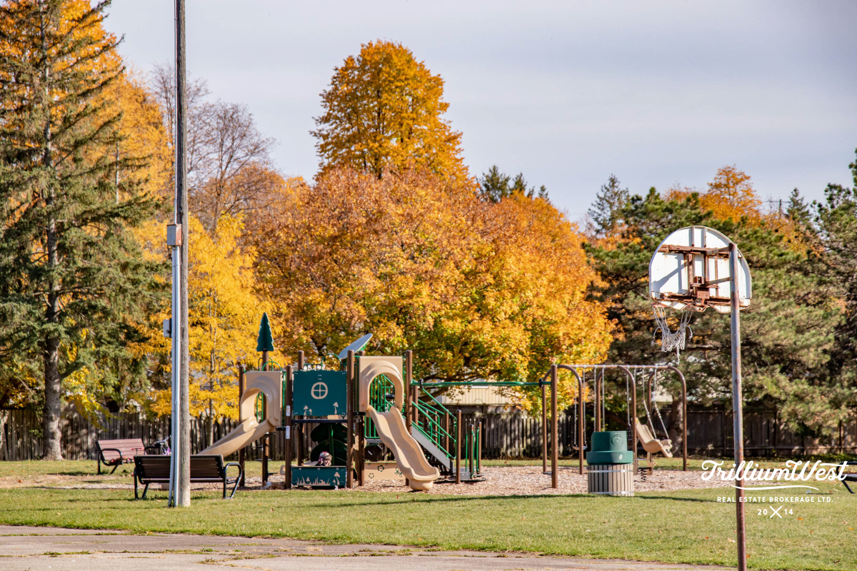 ShadesMillsgallery 10 of 