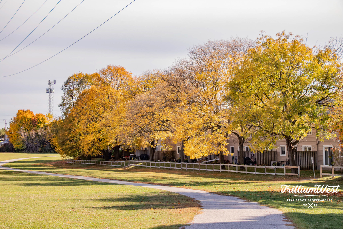 ShadesMillsgallery 11 of 