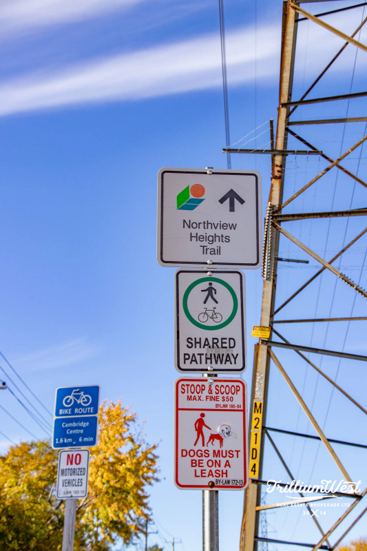 ShadesMillsgallery 12 of 