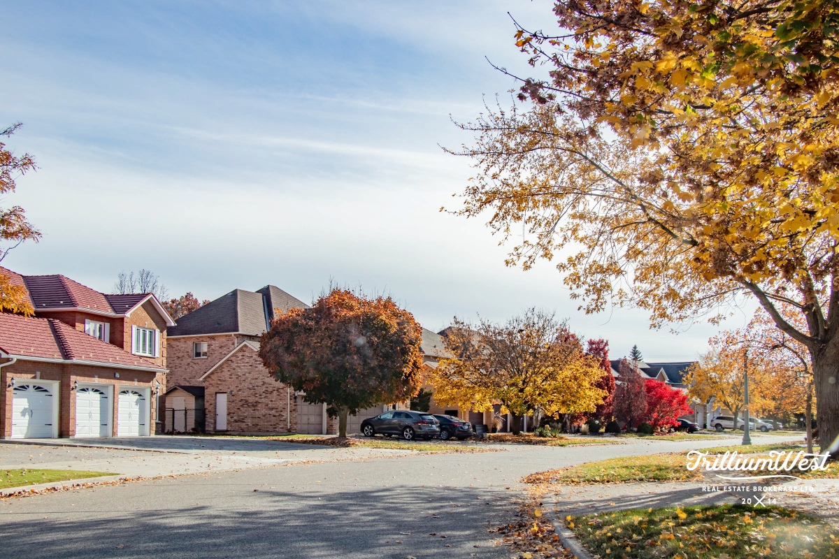 ShadesMillsgallery 2 of 