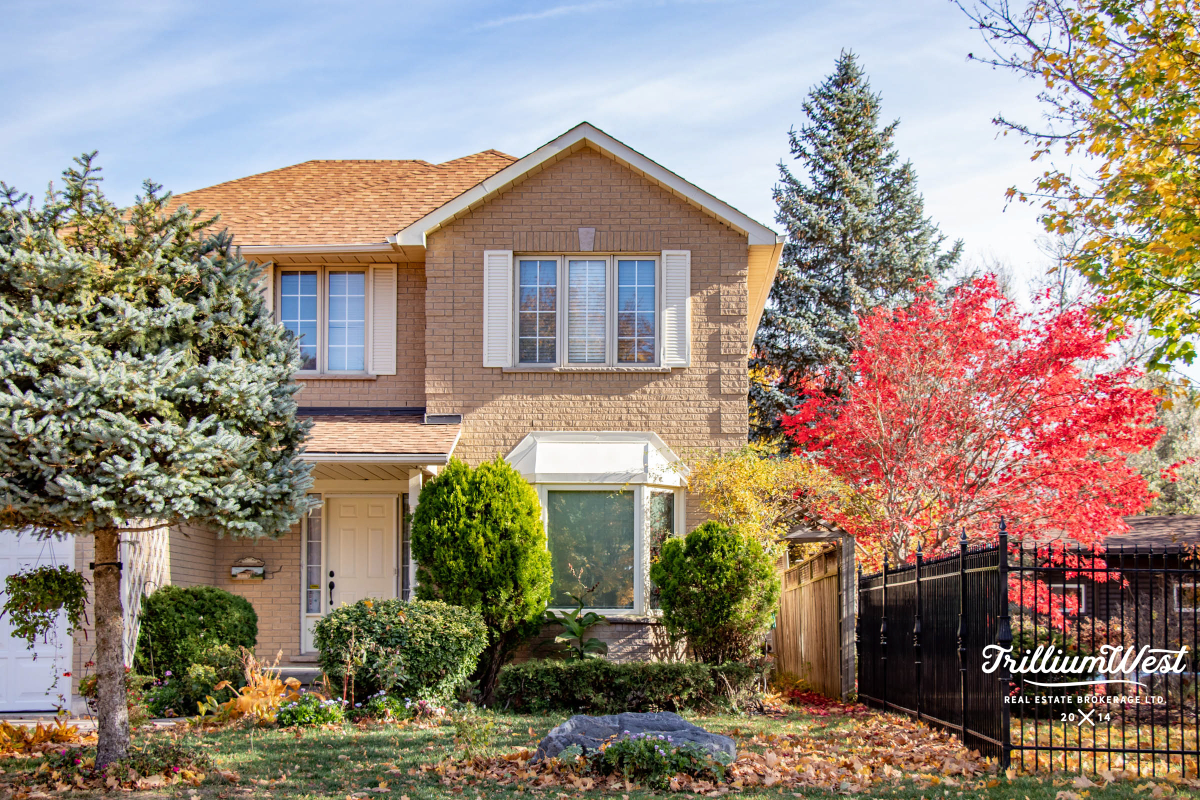 ShadesMillsgallery 3 of 