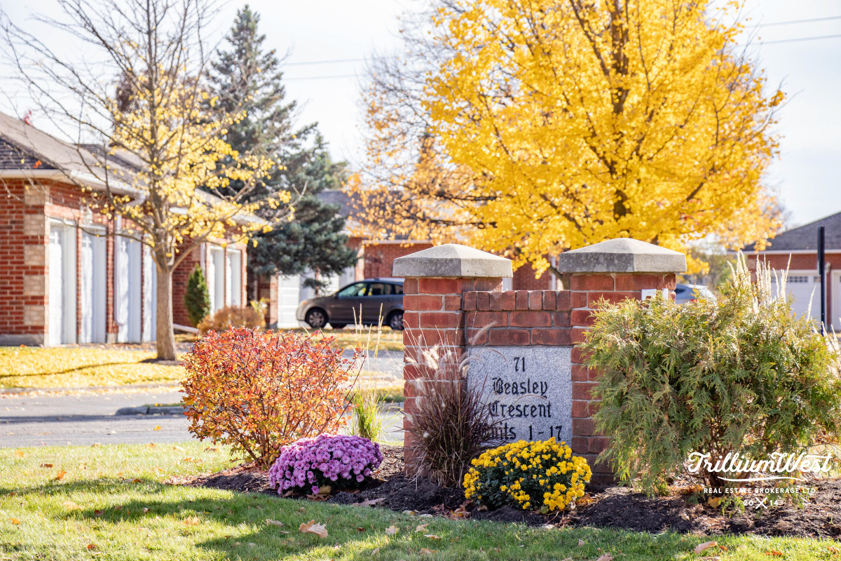 ShadesMillsgallery 5 of 