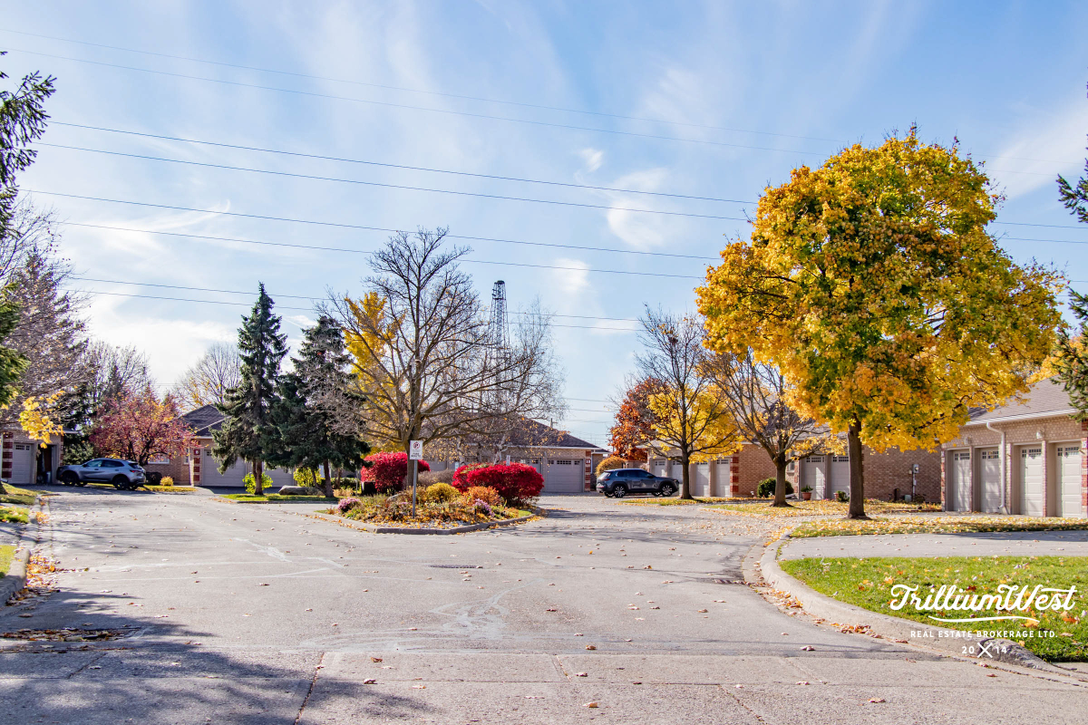 ShadesMillsgallery 6 of 