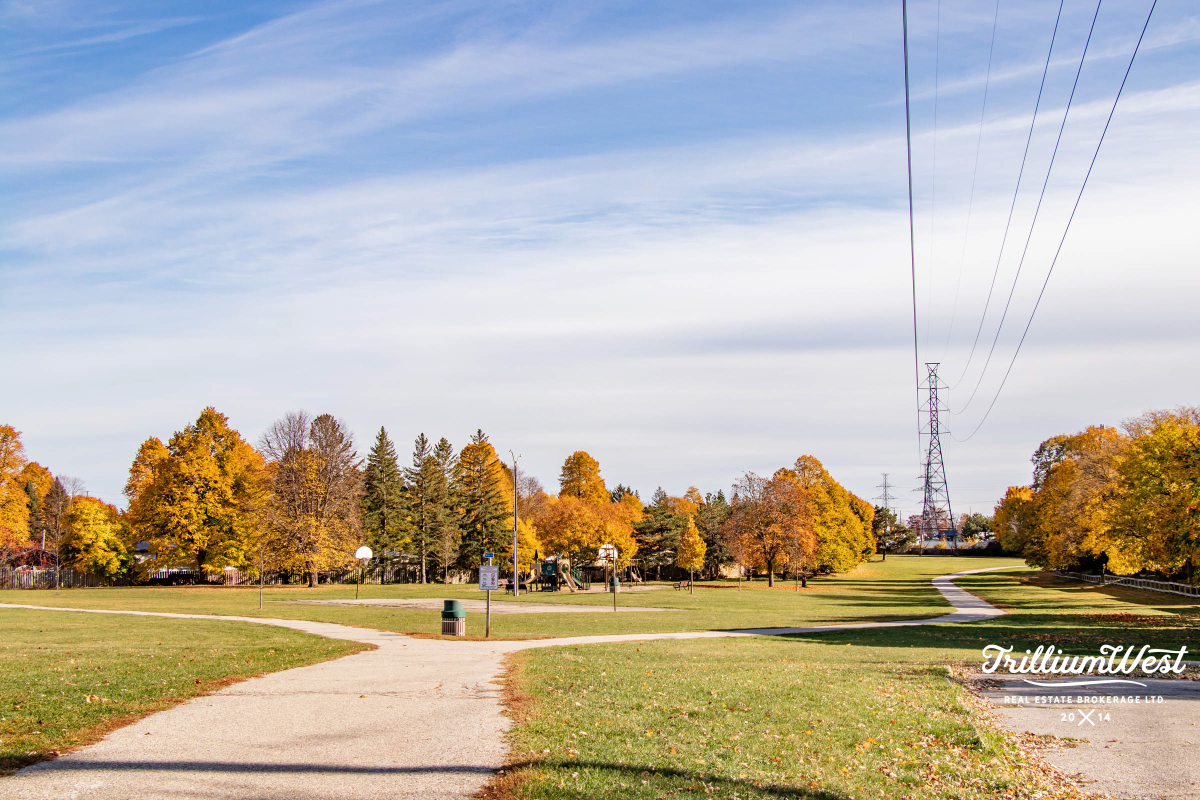 ShadesMillsgallery 7 of 