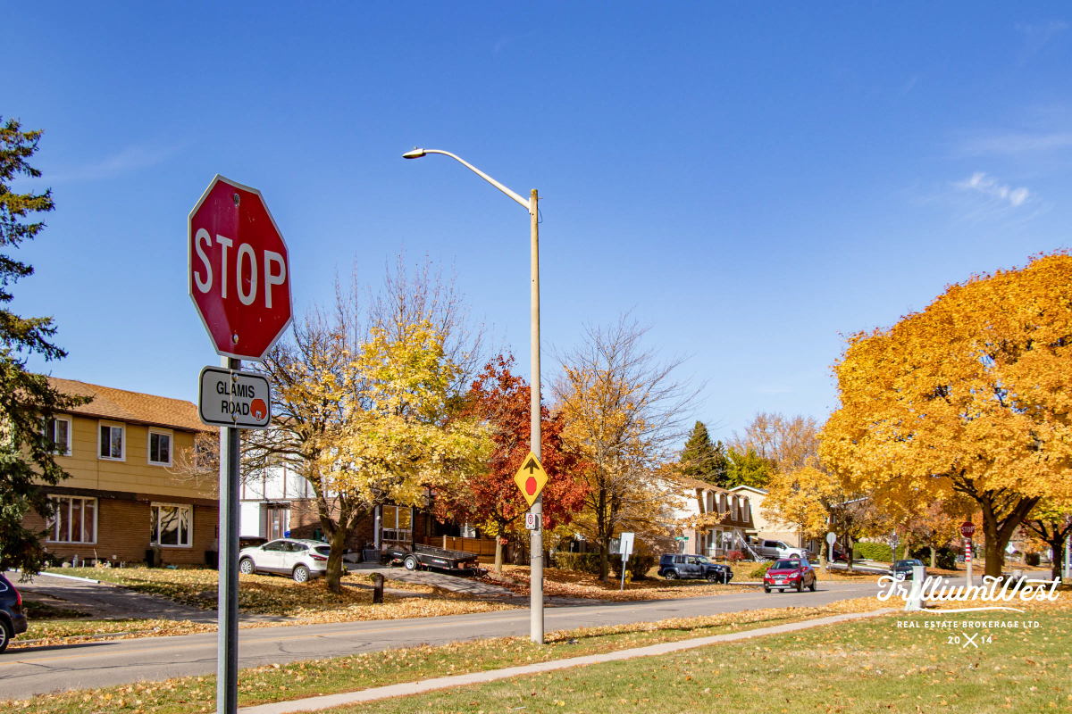 ShadesMillsgallery 8 of 