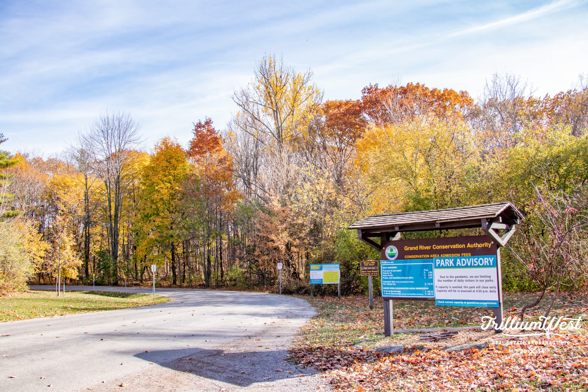 ShadesMillsplaces 1 of 