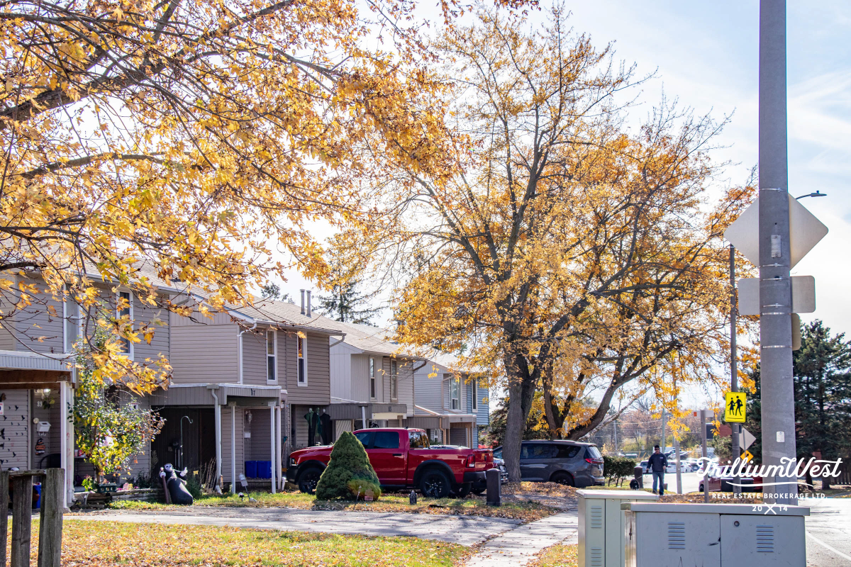 ShadesMillsproperties 1 of 