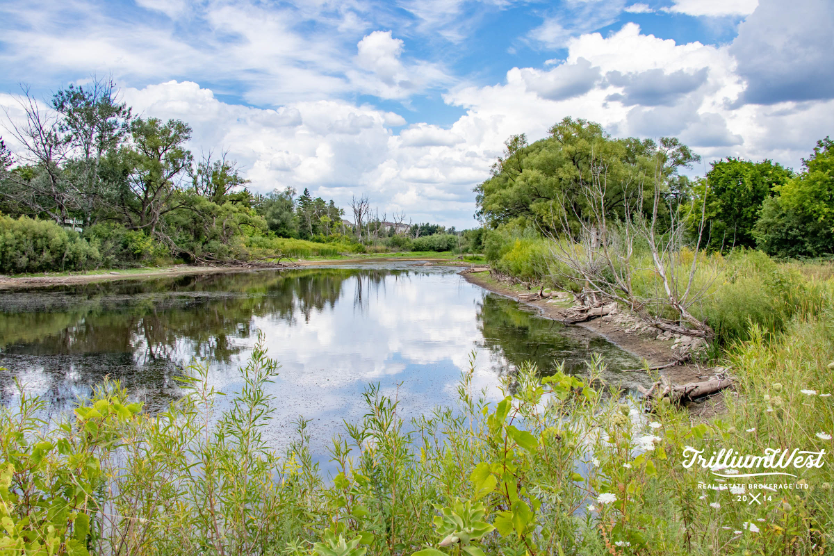 SilverheightsGallery 