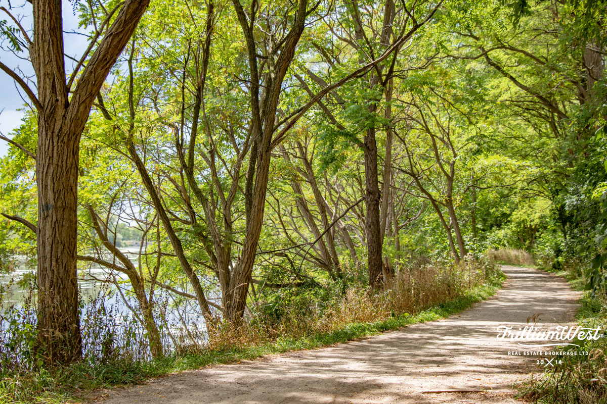 SilverheightsGallery 