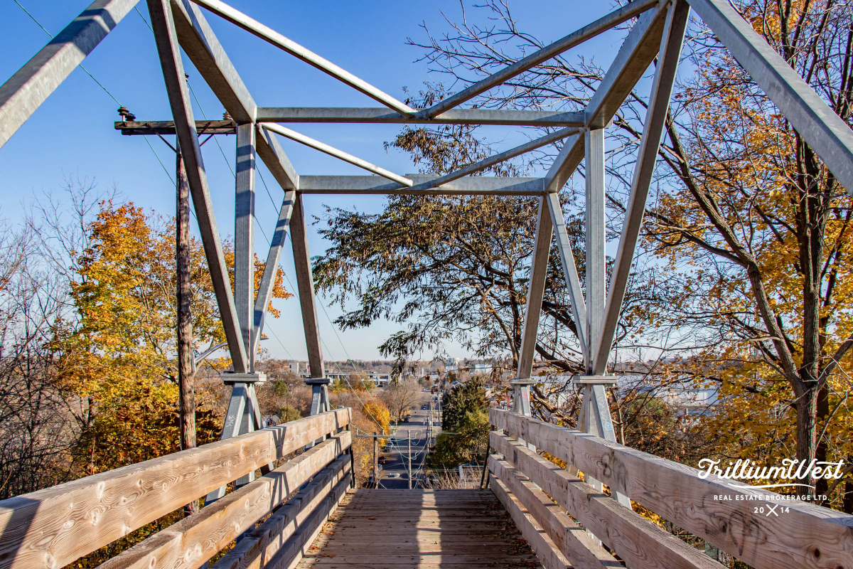 StGeorgesParkgallery 