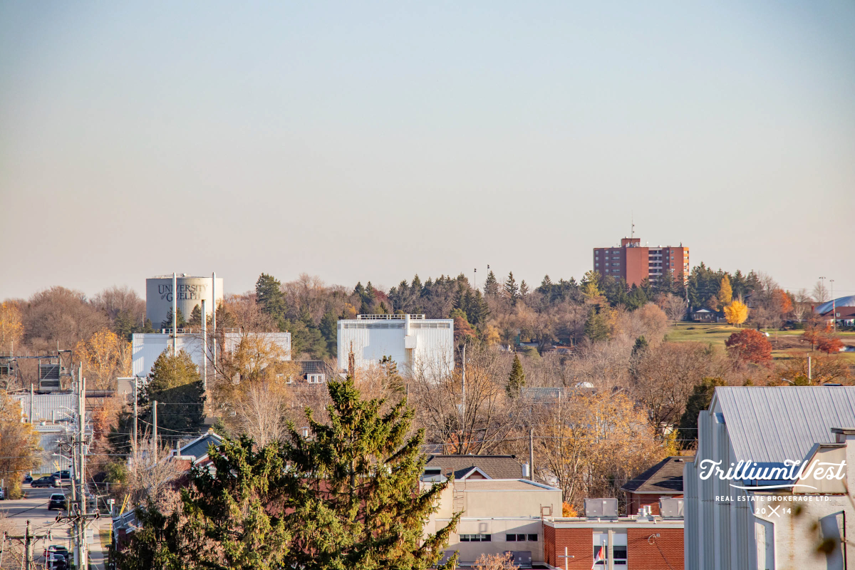 StGeorgesParkgallery 