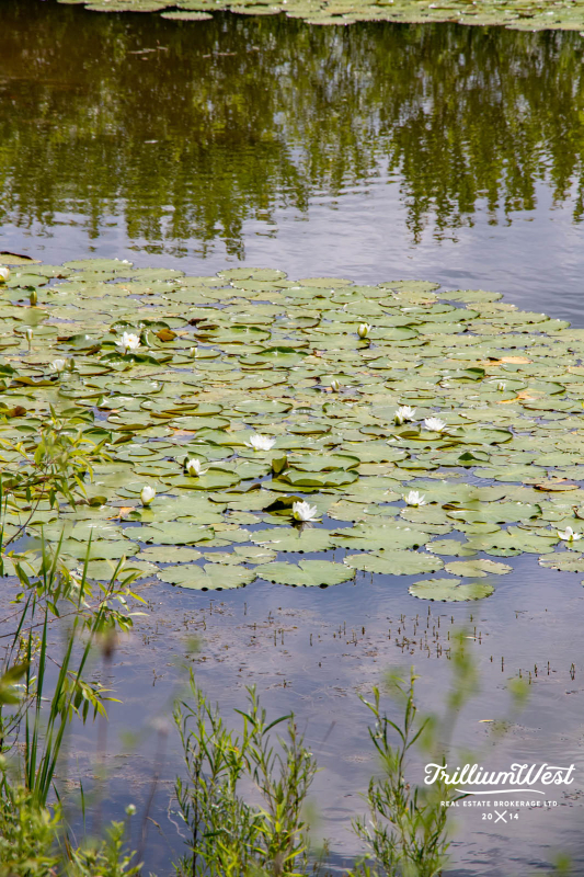 Trusslergallery 10 of 