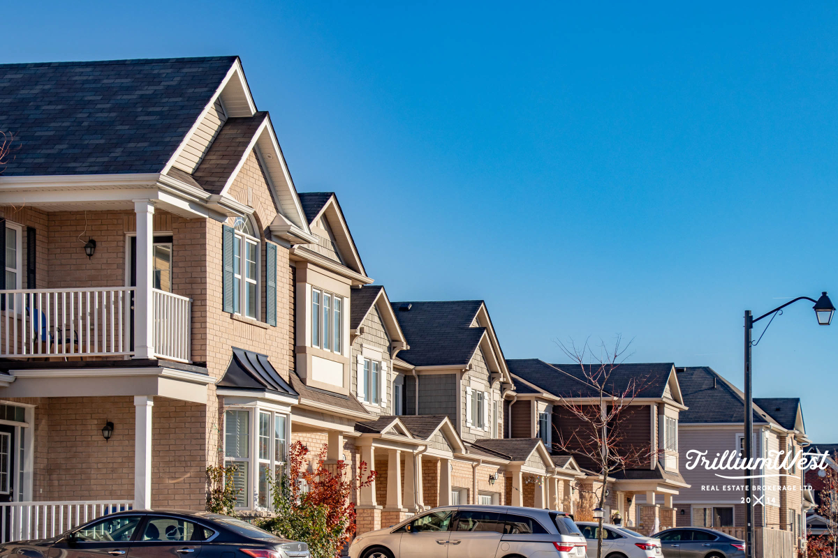 Trusslergallery 21 of 