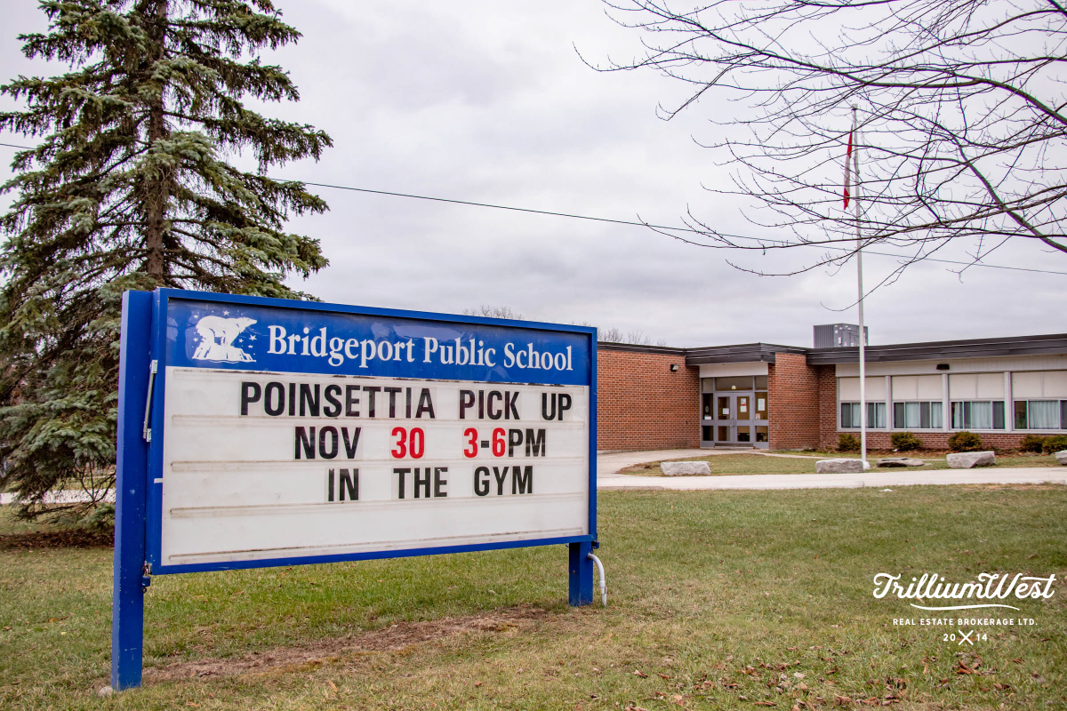 UniversityDownsgallery 21 of 