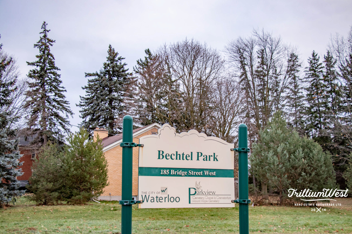 UniversityDownsgallery 41 of 