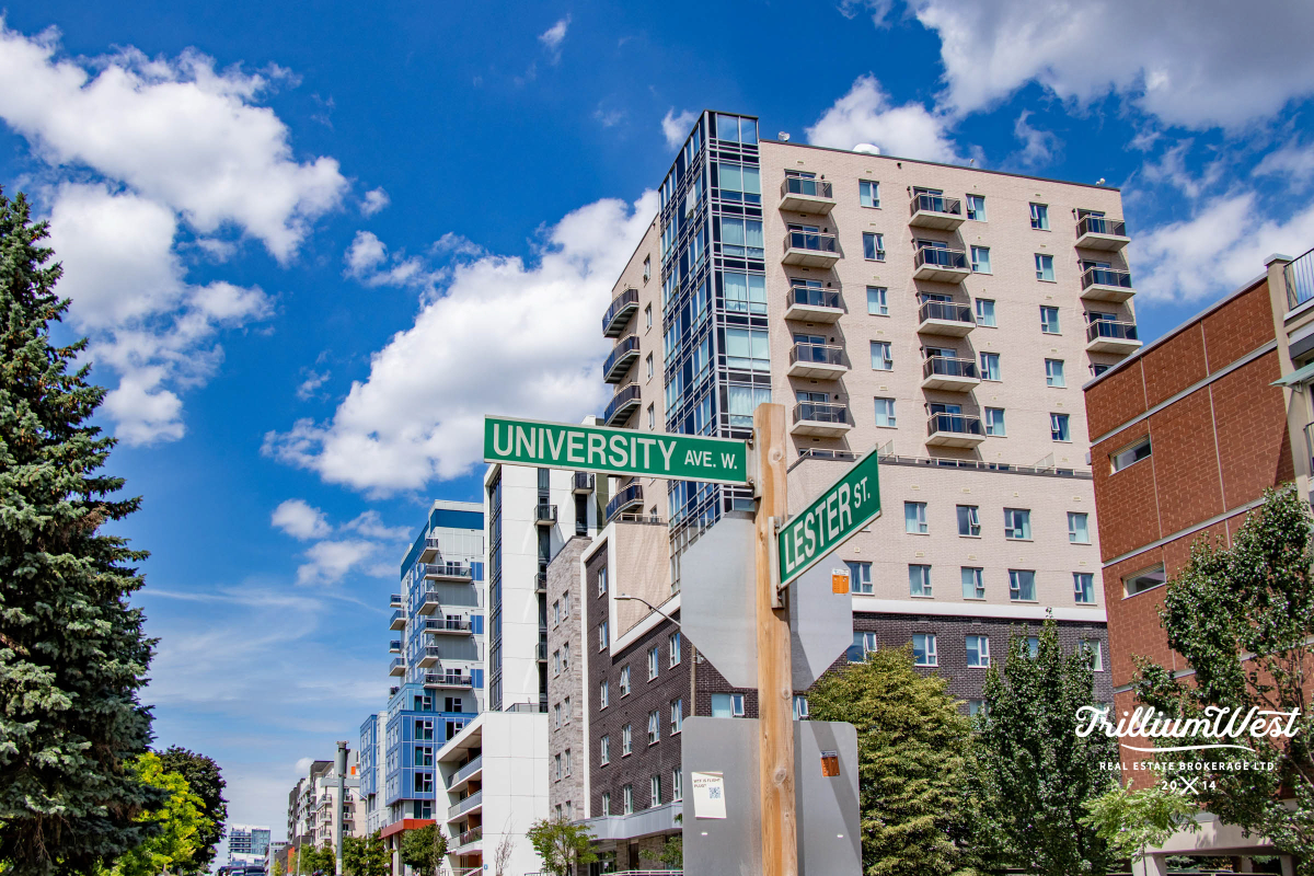 Universitygallery 21 of 