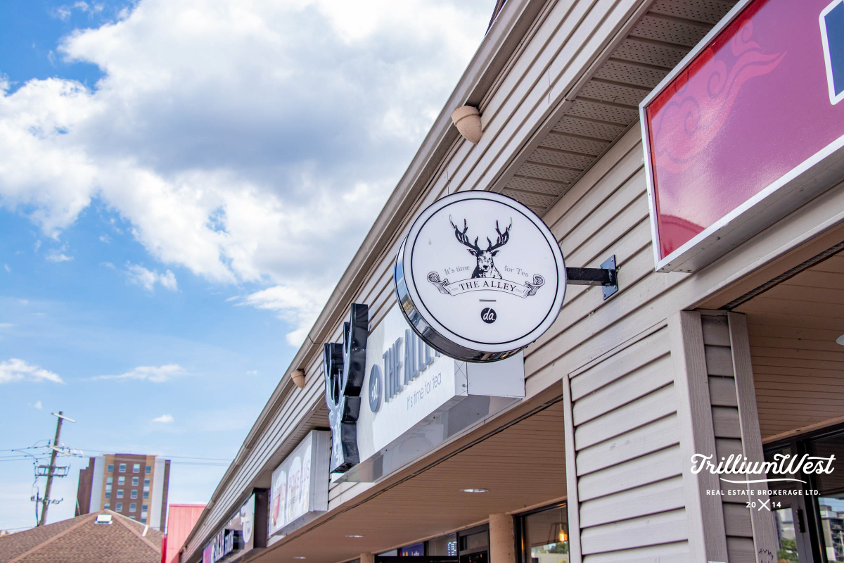 Universitygallery 33 of 