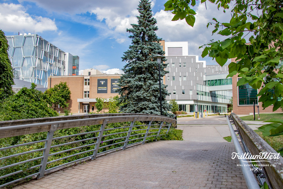 Universitygallery 43 of 