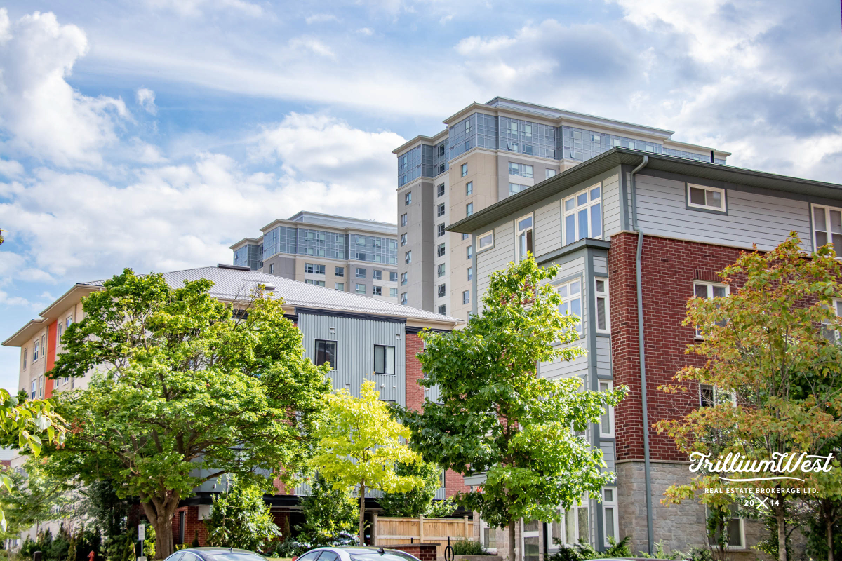 Universitygallery 53 of 