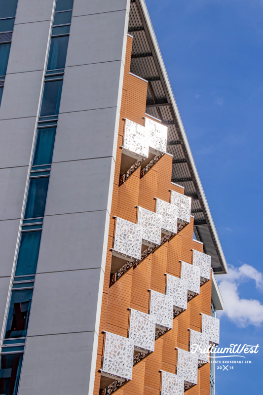 Universitygallery 60 of 