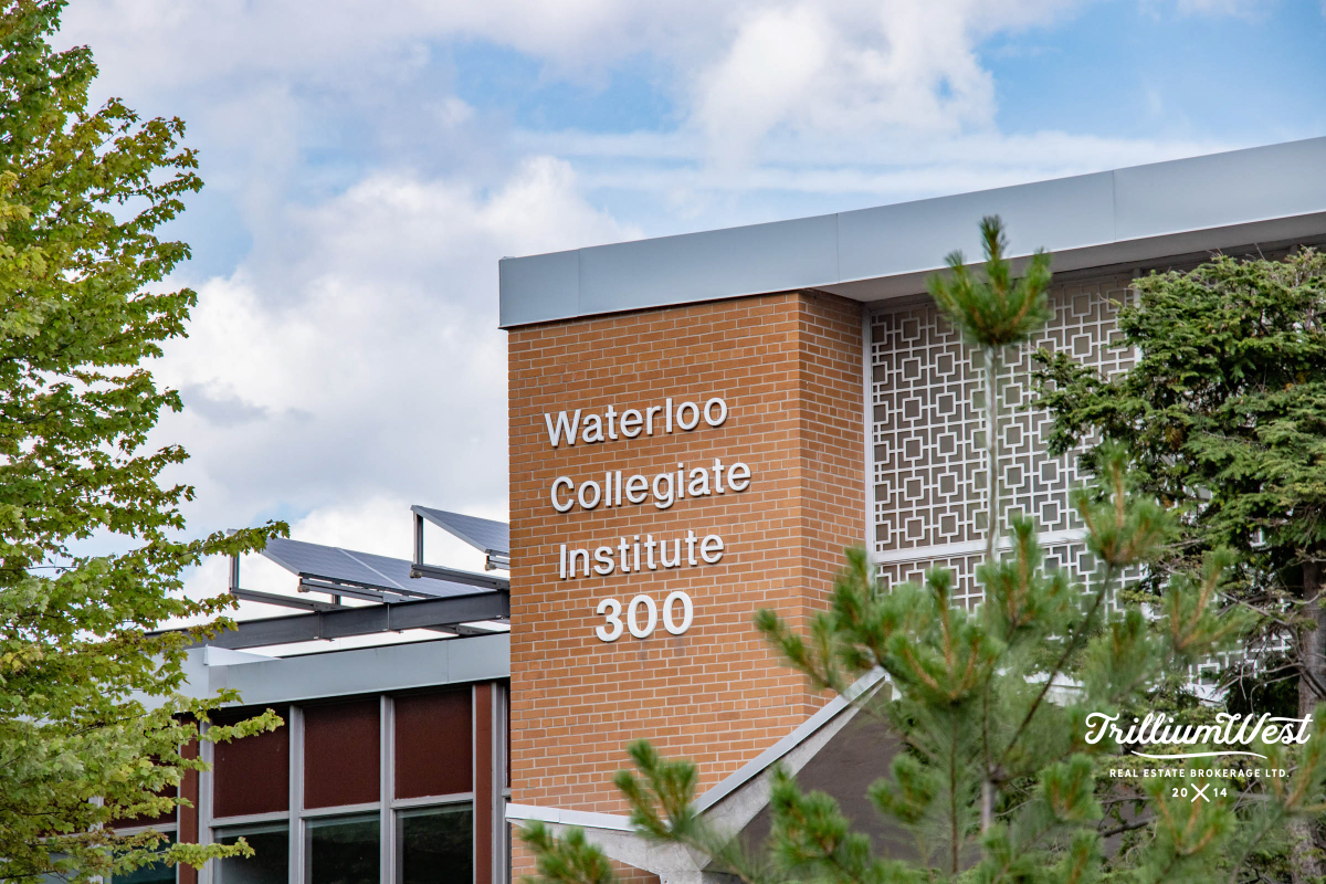 Universitygallery 68 of 