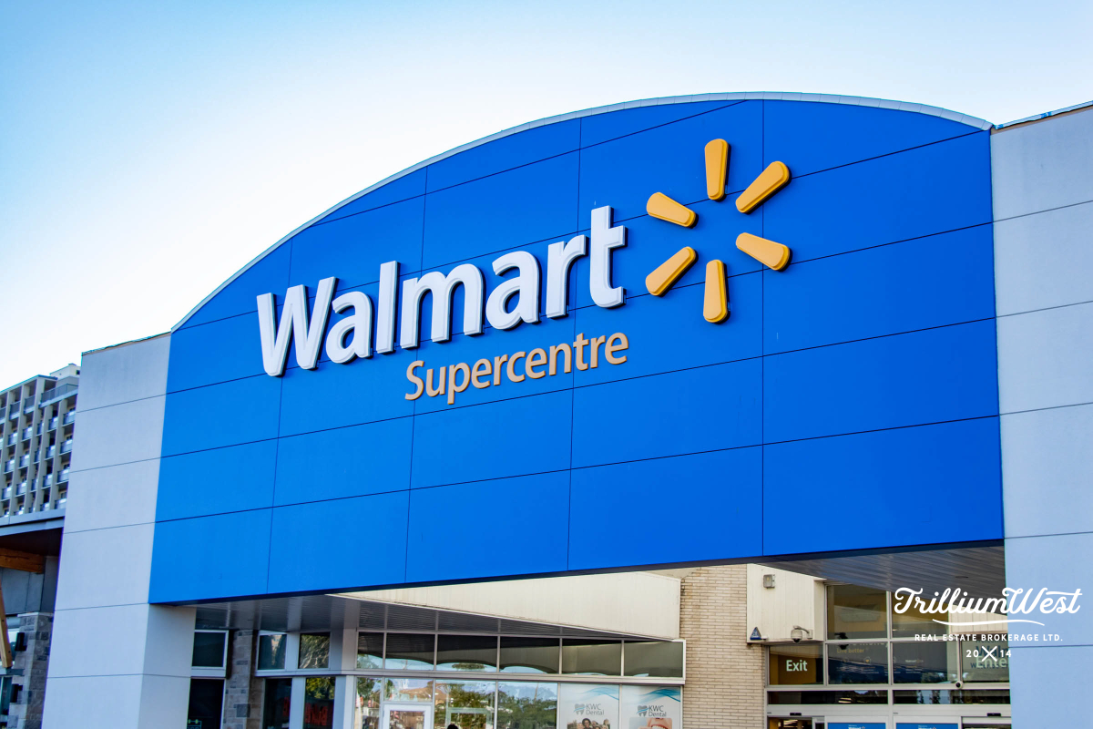 Universitygallery 7 of 