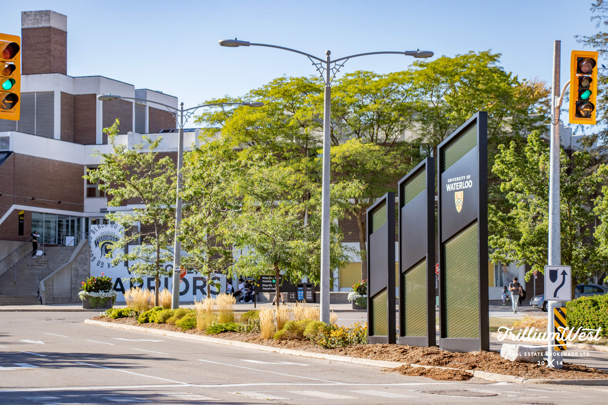 Universitygallery 74 of 