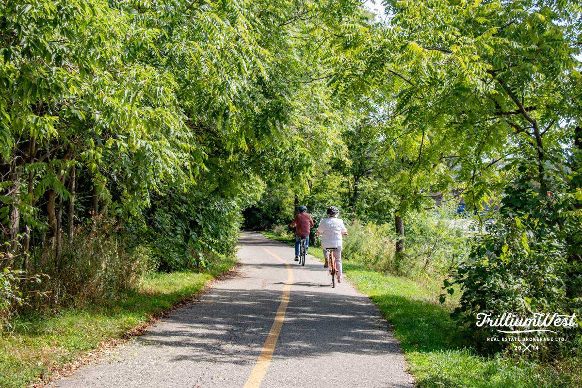 Universitygalleryadded