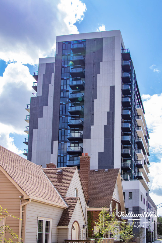 Universitygalleryadded