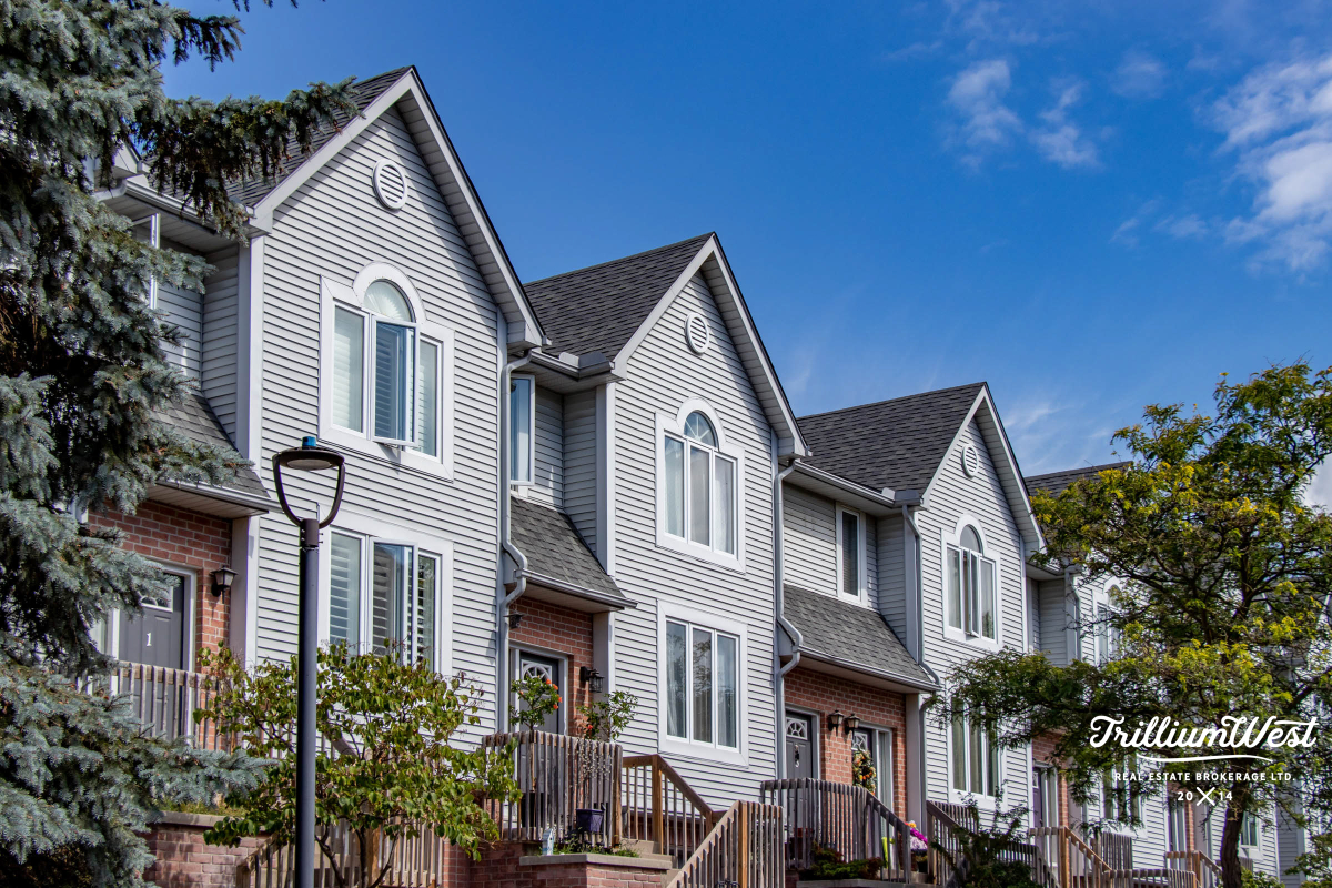 Universitygalleryadded